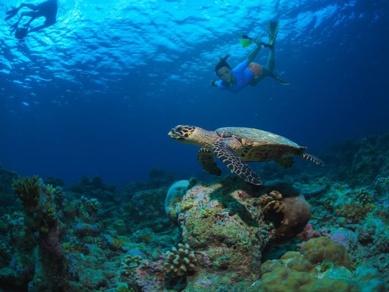 eca-image-seychelles-home-sec4-img
