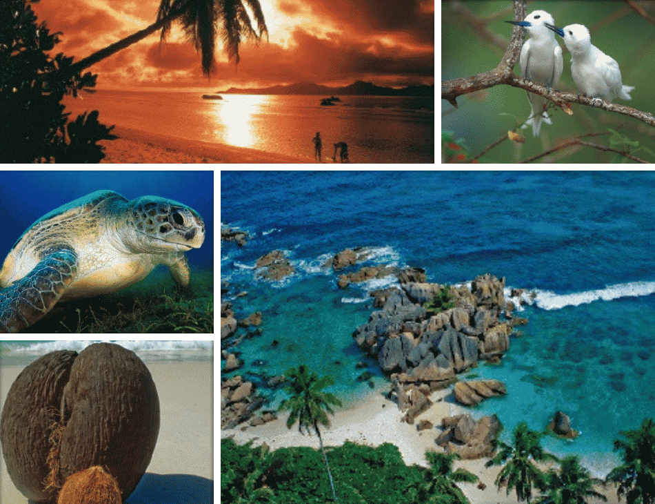 eca-image-seychelles-contact-banner-photo-new