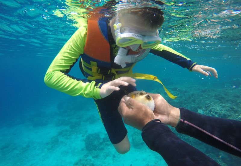 ocean-blue-seychelles-activities-img