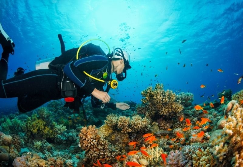 scuba-diving-ocean-blue-seychelles