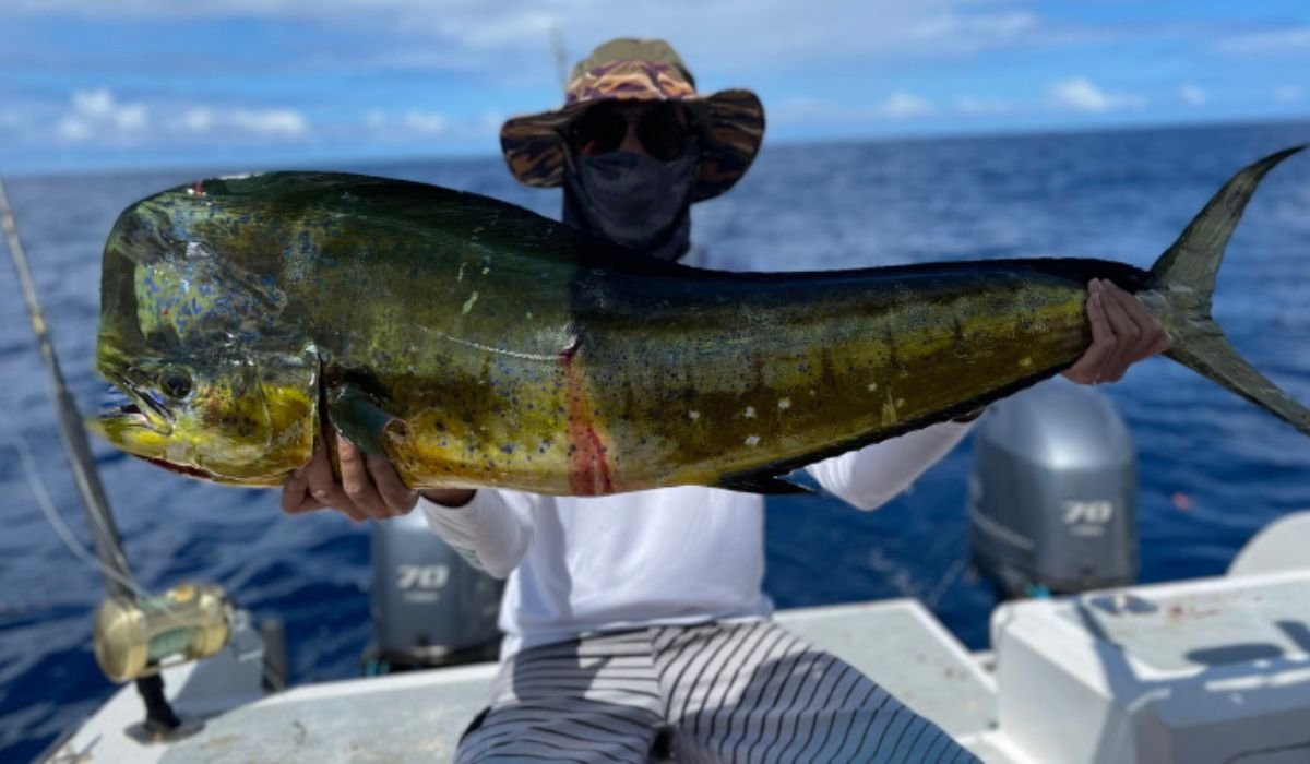 big-game-fishing-in-seychelles-ocean-blue-img