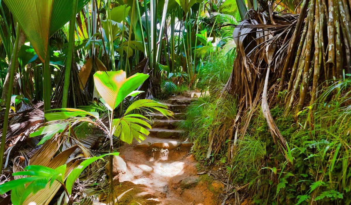 hiking-ocean-blue-seychelles-img